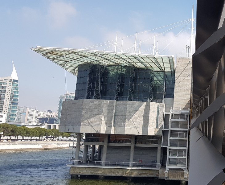 Listas Las Obras De Remodelación Del Oceanario De Lisboa Con Participación De GARCIA FAURA